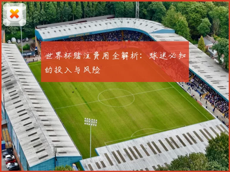 世界杯赌注费用全解析：球迷必知的投入与风险