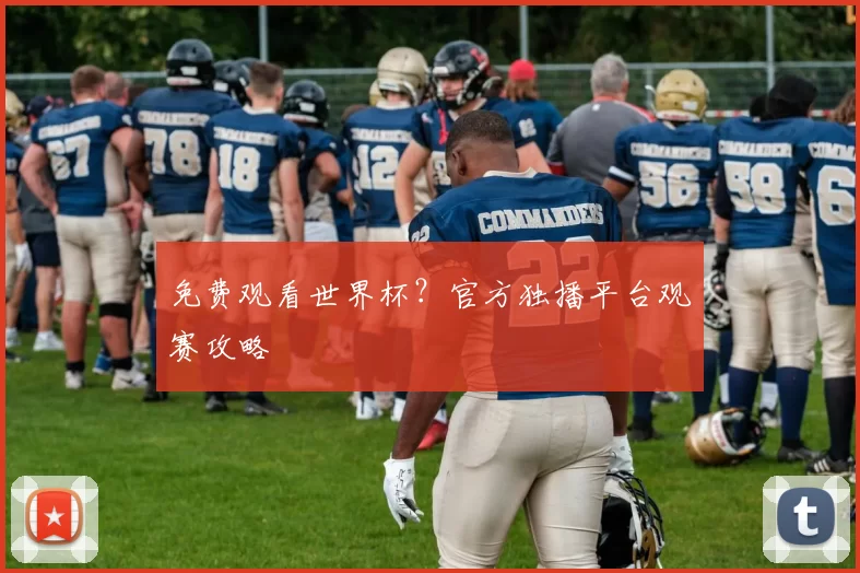 免费观看世界杯？官方独播平台观赛攻略