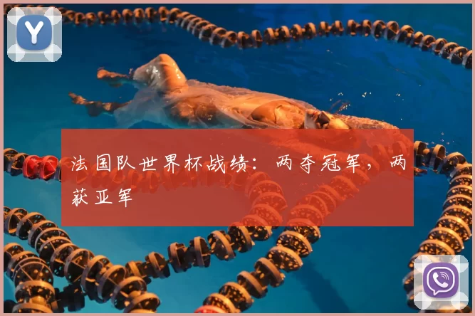 法国队世界杯战绩：两夺冠军，两获亚军