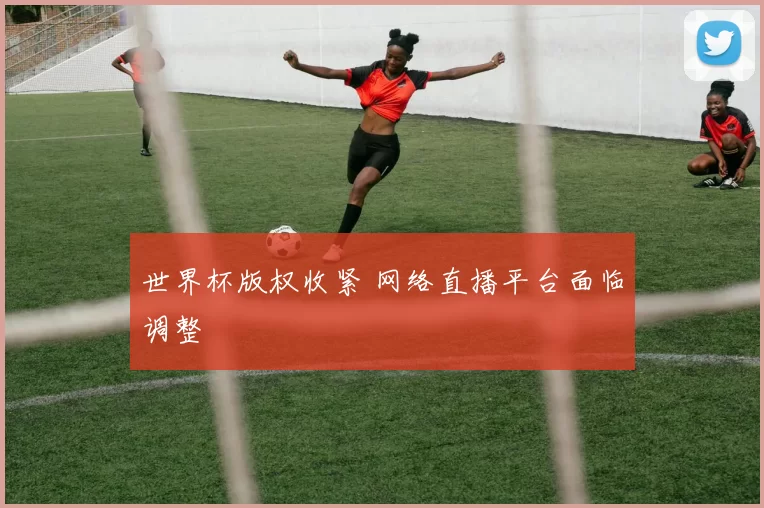 世界杯版权收紧 网络直播平台面临调整