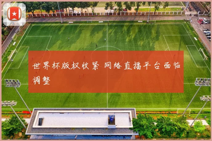 世界杯版权收紧 网络直播平台面临调整