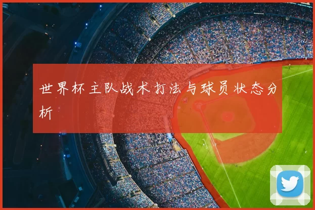 世界杯主队战术打法与球员状态分析