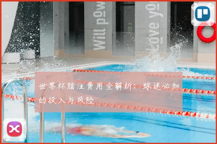 世界杯赌注费用全解析：球迷必知的投入与风险