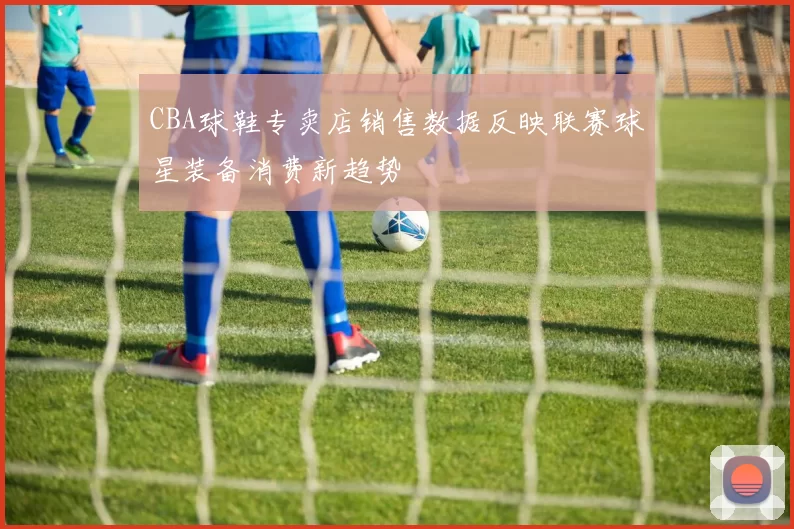 CBA球鞋专卖店销售数据反映联赛球星装备消费新趋势