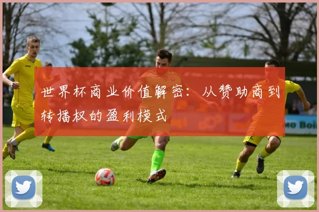 世界杯商业价值解密:从赞助商到转播权的盈利模式