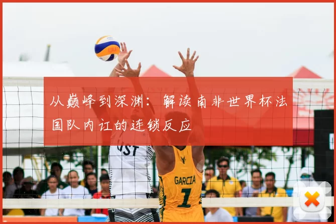 从巅峰到深渊：解读南非世界杯法国队内讧的连锁反应