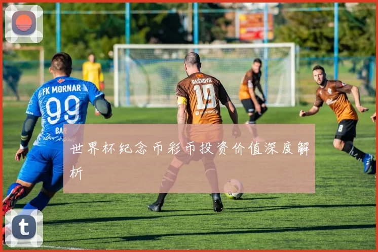 世界杯纪念币彩币投资价值深度解析