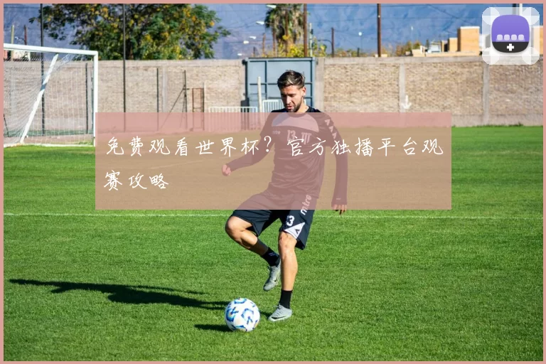 免费观看世界杯？官方独播平台观赛攻略